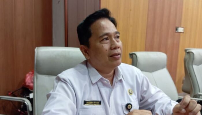 Dinsos PPPA Jember Pastikan Perlindungan Korban Kekerasan di SR
