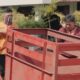 Gerobak Sampah Warga Karah Dicuri, Wali Kota Eri Gerak Cepat Ganti Unit Baru dan Buru Pelaku via CCTV