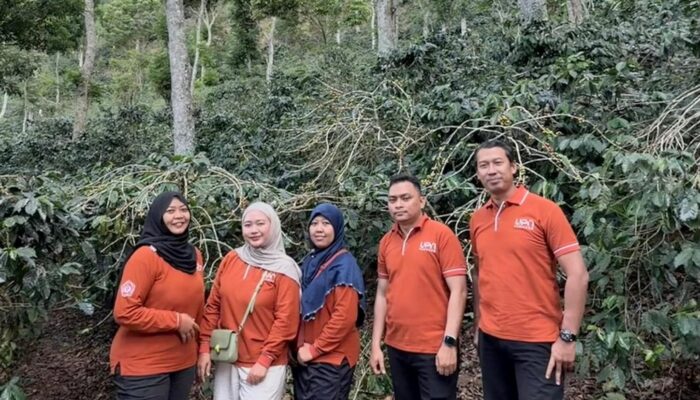 Peneliti UPN Veteran Jatim Kembangkan Peta Digital untuk Lacak Asal-usul Kopi Argopuro