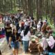 Pasar Pangupo Jiwo Suguhkan Kuliner dan Nuansa Tempo Dulu
