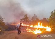 BPBD Bangka Barat Sebut Hujan Awal Belum Kurangi Risiko Karhutla
