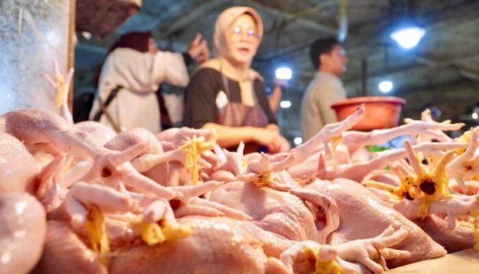 Bambang Haryo Minta Dugaan Permainan Harga Ayam Diusut