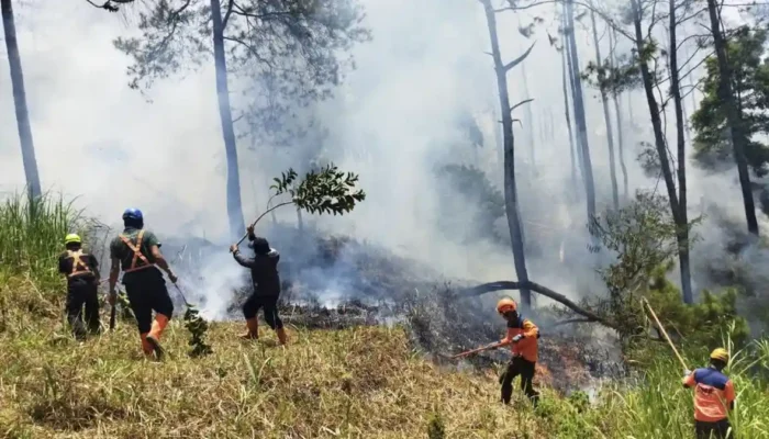 Soal Karhutla, Menko Polkam: Kita Masih Sanggup